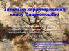Загальна характеристика класу Павукоподібні