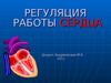 26 Регуляция работы сердца