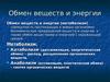 Обмен веществ и энергии