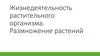 Жизнедеятельность растительного организма. Размножение растений