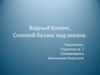 Водный баланс. Солевой баланс вод океана