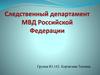 Следственный департамент МВД Российской Федерации