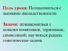 Законы наследственности. Генотип
