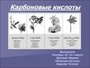 Карбоновые кислоты. Уксусная кислота, муравьиная кислота