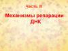 Механизмы репарации ДНК