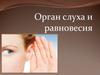 Орган слуха и равновесия