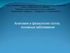 Анатомия и физиология глотки, основные заболевания