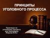 Принципы уголовного процесса