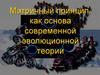 Матричный принцип, как основа современной эволюционной теории