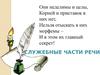 Служебные части речи