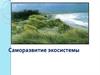 Саморазвитие экосистемы