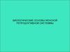 Биологические основы женской репродуктивной системы