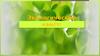 Экологический квест. Повышение экологической грамотности у школьников