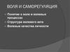Воля и саморегуляция