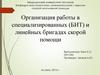 Организация работы в специализированных (БИТ) и линейных бригадах скорой помощи