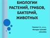 Вопросы по биологии растений, грибов, бактерий, животных