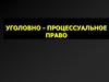 Понятие, сущность, назначение уголовного судопроизводства