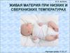 Живая материя при низких температурах