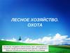 Лесное хозяйство. Охота