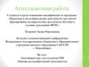 Аттестационная работа. Элективный курс для студентов СПО «Основы исследовательской деятельности»