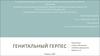 Генитальный герпес