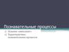 Познавательные процессы. Понятие интеллект. Характеристика познавательных процессов