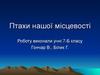 Птахи нашої місцевості