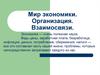 Мир экономики. Организация. Взаимосвязи