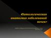 Патологическая анатоми заболеваний почек