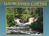 Заповедники Карелии
