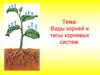 Виды корней и типы корневых систем