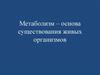 Метаболизм – основа существования живых организмов