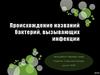 Происхождение названий бактерий, вызывающих инфекции