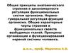 Общие принципы анатомического строения и закономерности регуляции функциональных систем организма