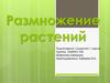 Размножение растений
