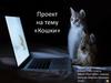 Проект на тему «Кошки»