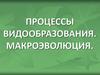 Процессы видообразования. Макроэволюция
