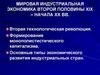 Мировая индустриальная экономика второй половины хіх – начала хх вв