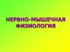 Нервно-мышечная физиология