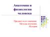 Анатомия и физиология человека. Предмет и его значение. Методы изучения. История