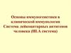 Основы иммуногенетики в клинической иммунологии. Система лейкоцитарных антигенов человека (HLA система)