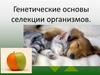 Генетические основы селекции организмов