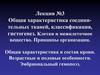 Характеристика соединительных тканей, классификация, гистогенез. Клетки и межклеточное вещество. Принципы организации (Лекция 3)
