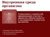 Внутренняя среда организма: кровь, тканевая жидкость, лимфа. Основные функции крови. Кровеносная система