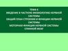 Физиология, строение и функции нервной системы. Моторная функция нервной системы. Спинной мозг. (Тема 6-7)
