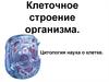 Клеточное строение организма. Цитология - наука о клетке
