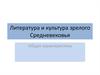 Литература и культура зрелого Средневековья