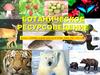 Ботаническое ресурсоведение. Классификация биологических ресурсов