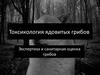 Токсикология ядовитых грибов. Экспертиза и санитарная оценка грибов