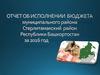 Отчет об исполнении бюджета муниципального района. Стерлитамакский район Республики Башкортоста